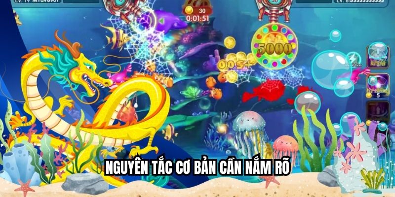 Nguyên tắc cơ bản cần nắm rõ